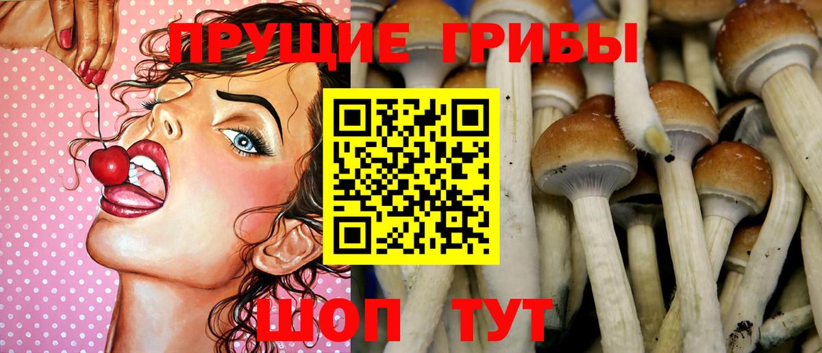 Галлюциногенные грибы MAGIC MUSHROOMS Моздок